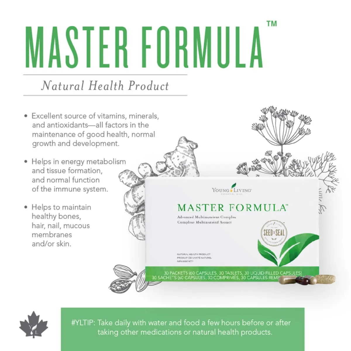 Young Living Master Formula